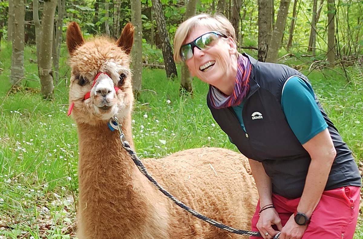 Alpaka Wanderung mit Picknick für 2 Waldenbuch - Jetzt erleben! Alpaka Wanderung mit Picknick für 2 Waldenbuch - Jetzt erleben!