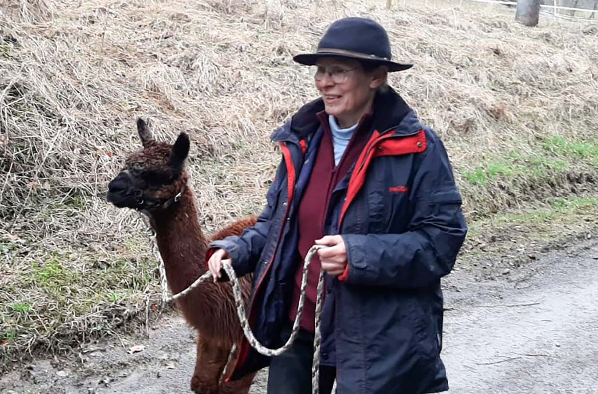 Alpaka Wanderung mit Picknick für 2 Waldenbuch - Jetzt erleben! Alpaka Wanderung mit Picknick für 2 Waldenbuch - Jetzt erleben!