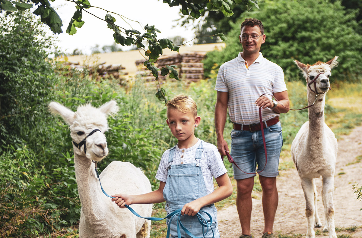 Alpaka Wanderung Münnerstadt Alpaka Wanderung Münnerstadt