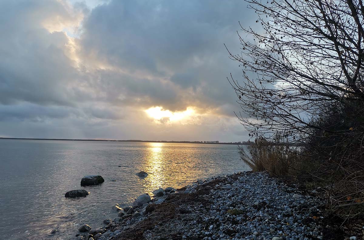 Angel Kurs Insel Rügen - Spinnfieber zwischen Meer und Bodden in Göhren Angel Kurs Insel Rügen - Spinnfieber zwischen Meer und Bodden in Göhren