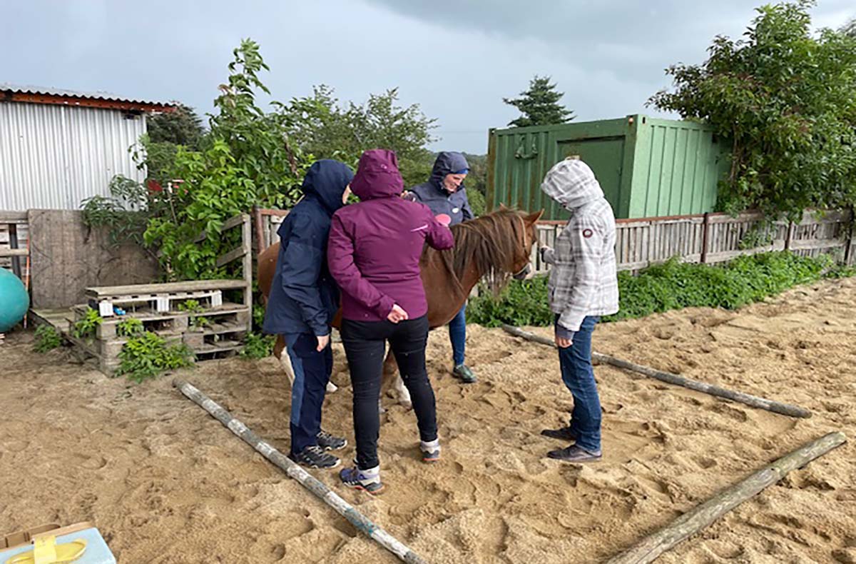 Auszeit mit Pferden Grumbach Auszeit mit Pferden Grumbach