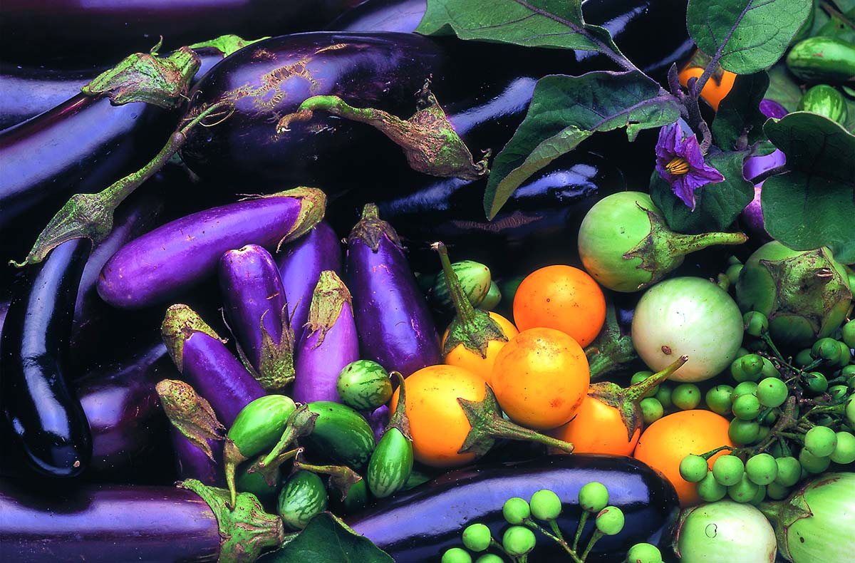 Vegetarische Rezepte lernen Basel