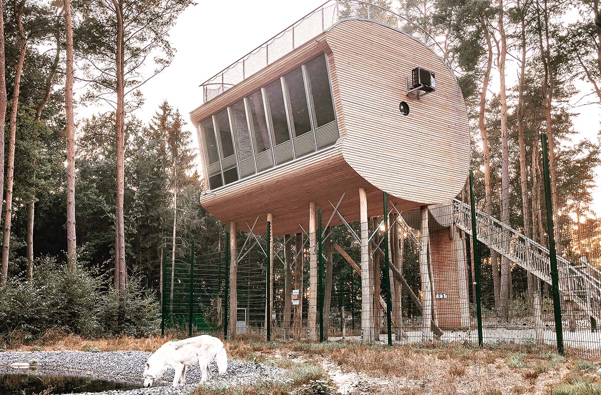 Außergewöhnlich Übernachten im Baumhaus für 2 (2 Nächte) in Dörverden - Vorschau II