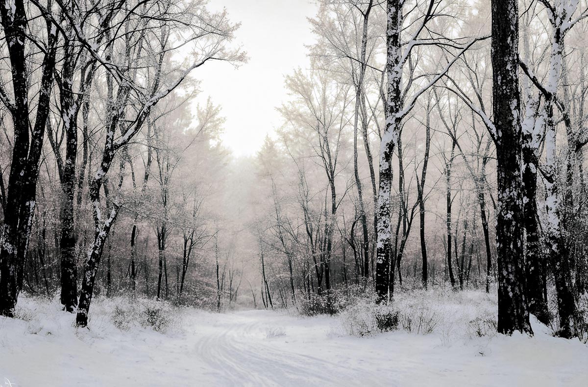 Bogenschießen Berlin (mit Feuerworkshop) 