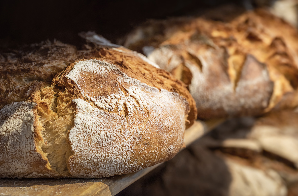 Brotback-Kurs Sulzemoos Brotback-Kurs Sulzemoos