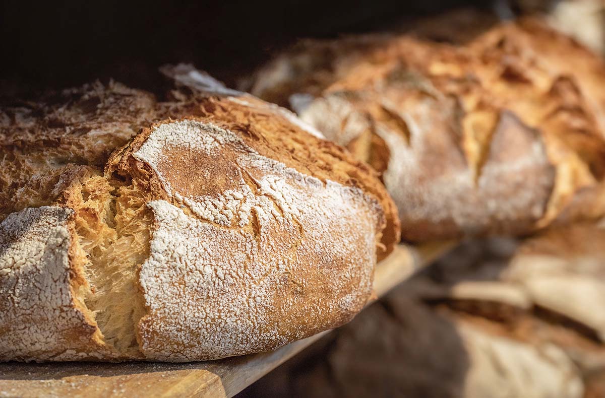 Brotbackkurs Bad Vilbel Brotbackkurs Bad Vilbel