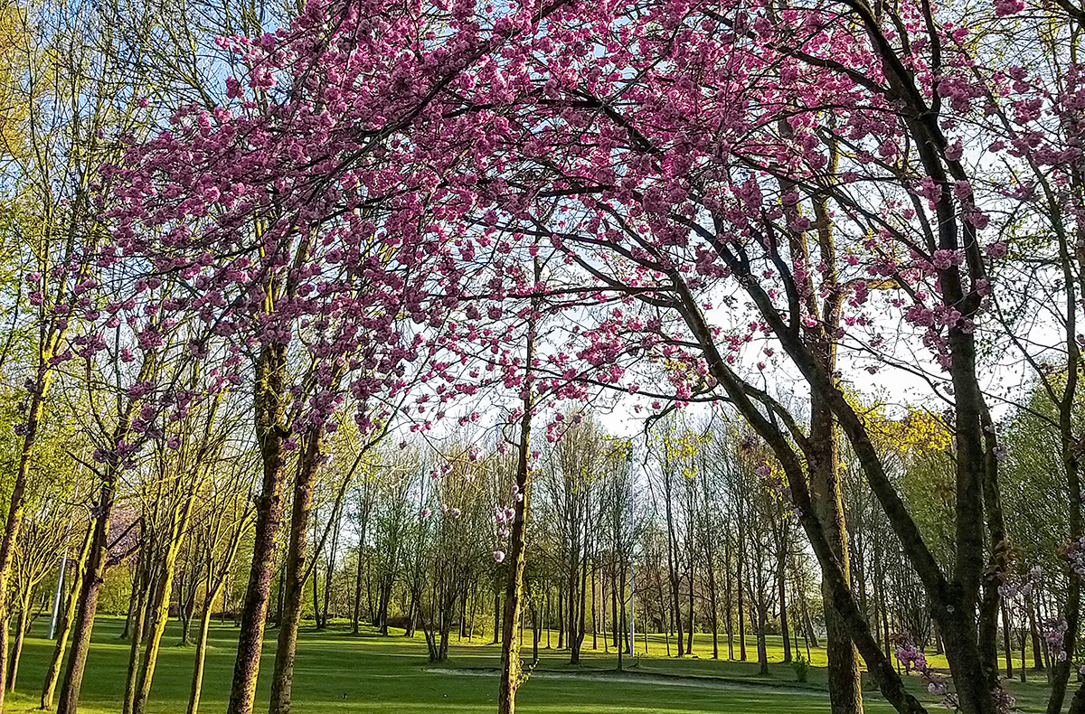 Bubble Übernachtung Wassenberg für 2 (1 Nacht)