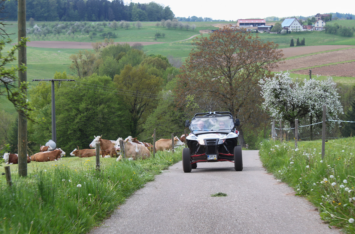 Side by Side Buggy Schwarzwald-Tour Meißenheim (5 Std.) – Offroad-Abenteuer im Schwarzwald: Buggy trifft Natur