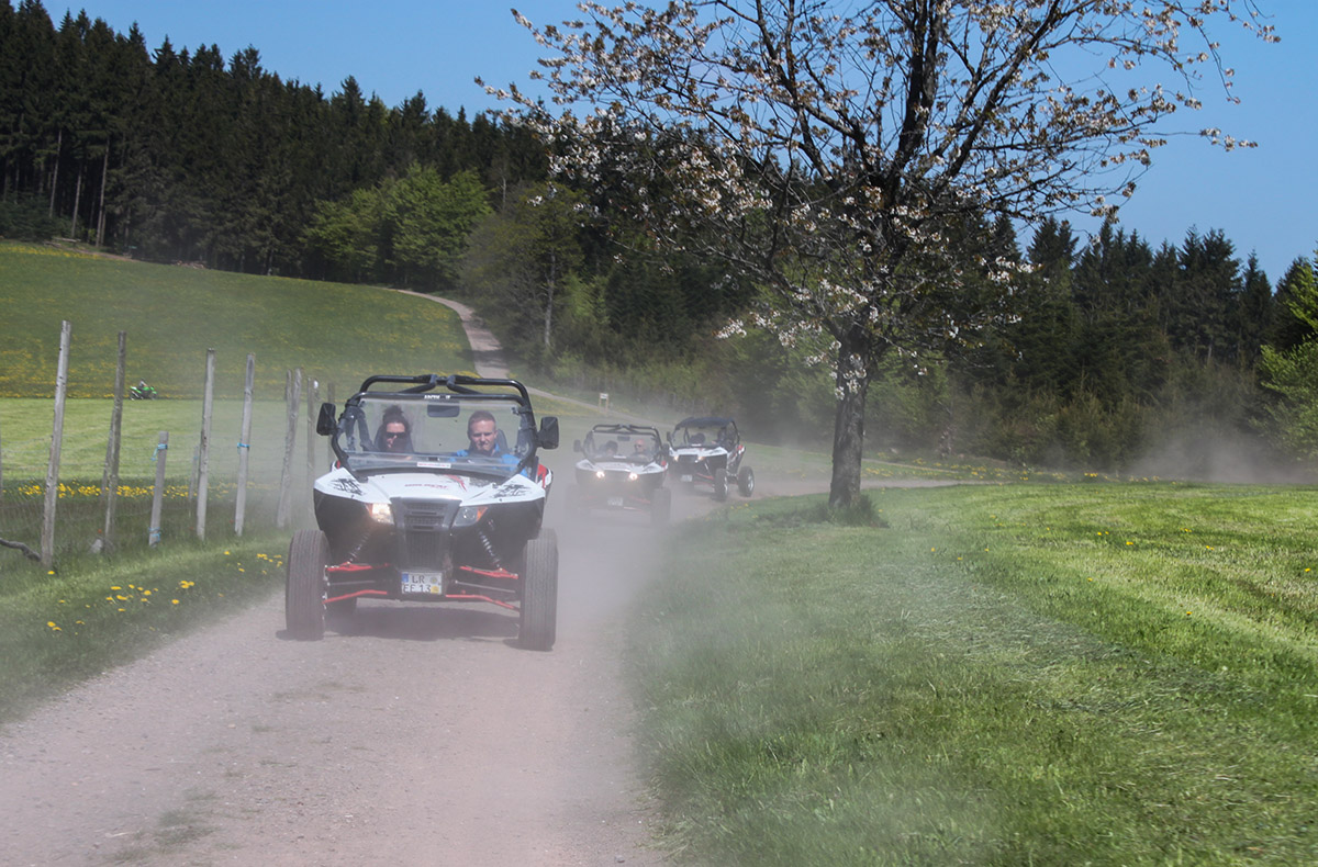 Side by Side Buggy Schwarzwald-Tour Meißenheim (5 Std.) - Offroad-Abenteuer im Schwarzwald: Buggy trifft Natur Side by Side Buggy Schwarzwald-Tour Meißenheim (5 Std.) - Offroad-Abenteuer im Schwarzwald: Buggy trifft Natur
