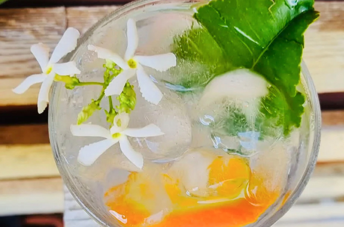 Cocktail Tasting Eppelheim