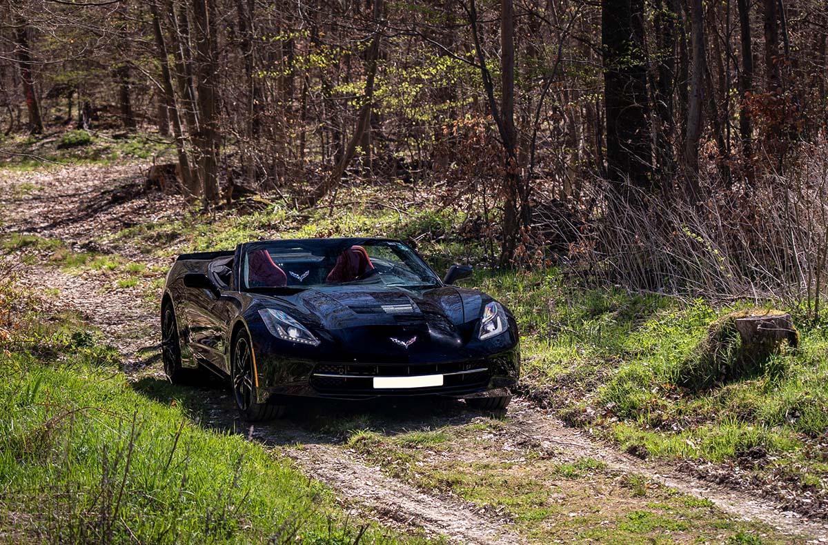 Corvette C7 Cabriolet mieten Gifhorn (Tagesfahrt) - Vorschau I