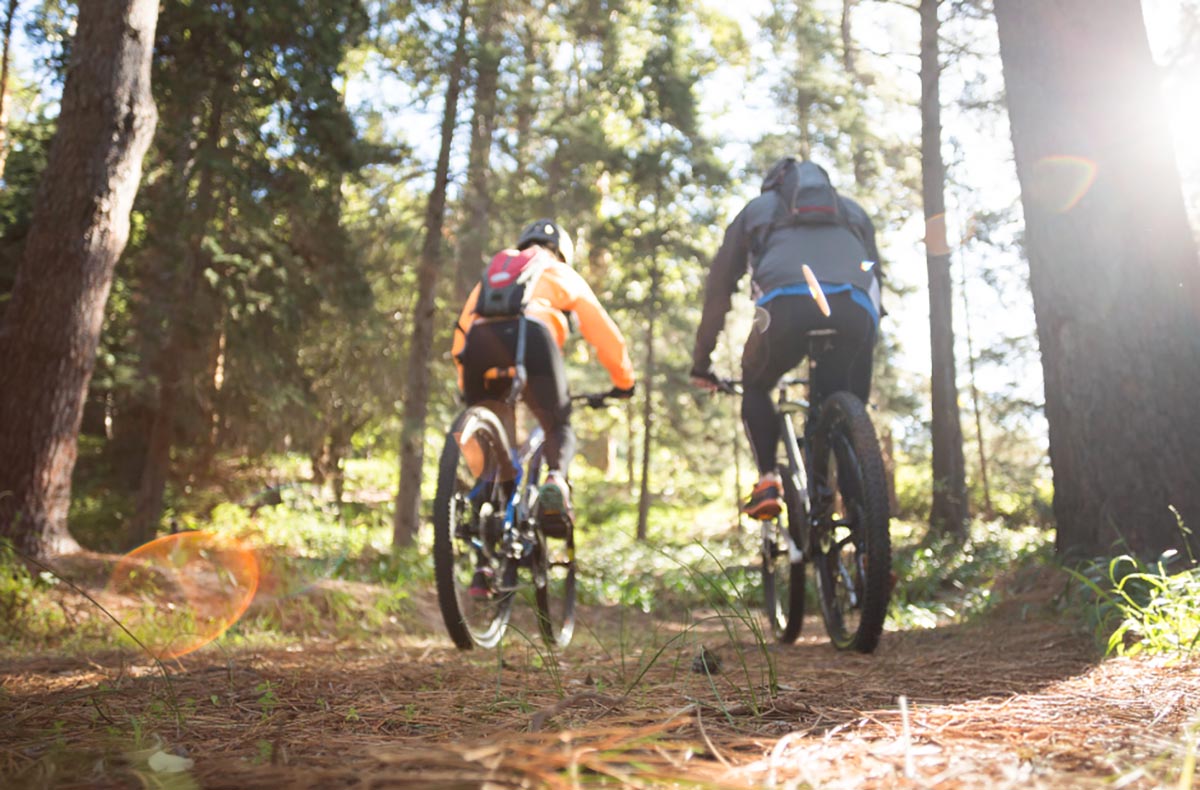 E-Bike-Tour Michelstadt - Jetzt erleben!