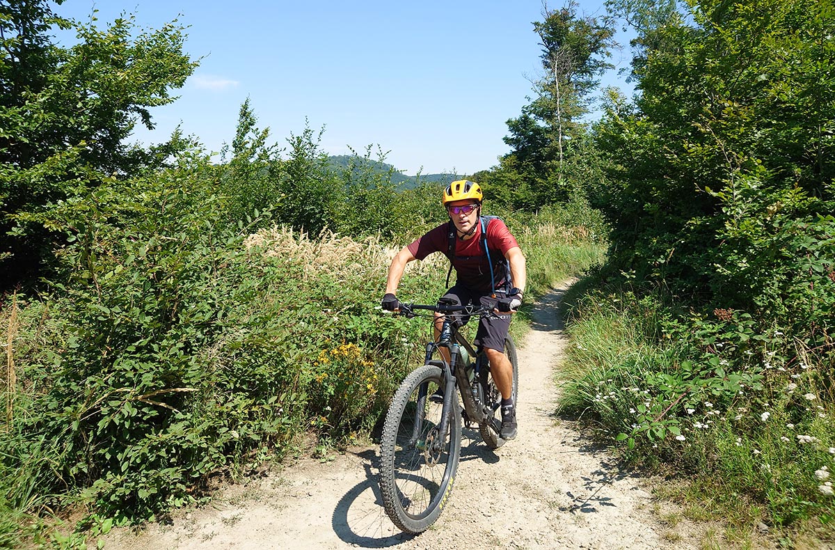E-Mountainbike Tagestour Wien