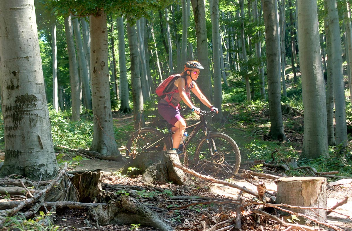 E-Mountainbike Tagestour Wien