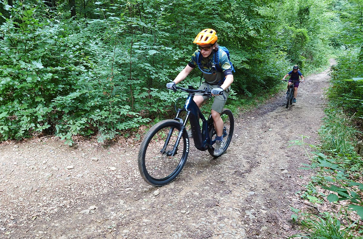 E-Mountainbike Tour Wien (4 Std.) E-Mountainbike Tour Wien (4 Std.)
