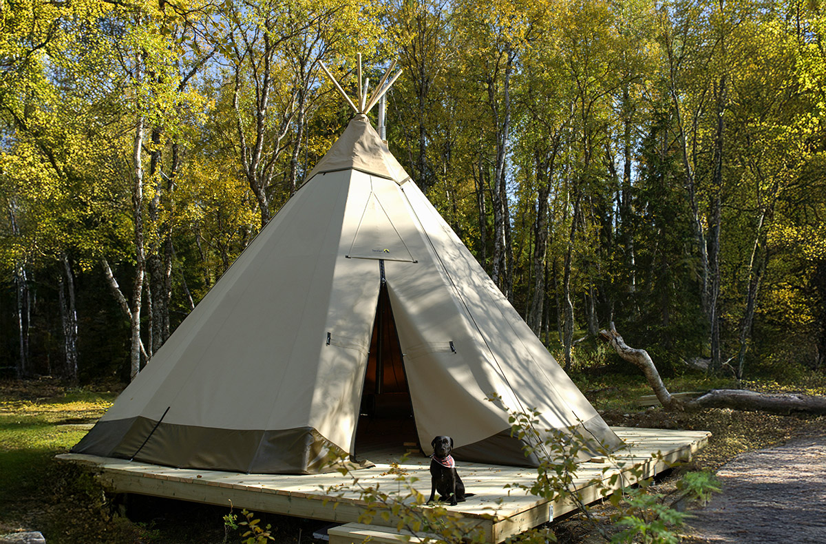 3 Tage Erlebnisreise Lappland für 4 (2 Nächte) inkl. Halbpension