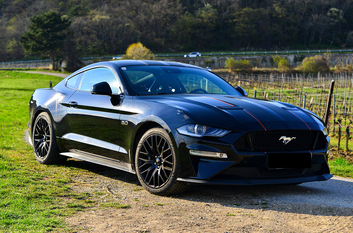 Ford Mustang GT fahren bei Wien (8 Std.)