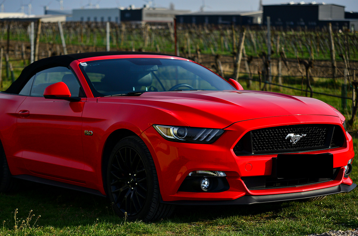 Ford Mustang GT fahren bei Wien (8 Std.)
