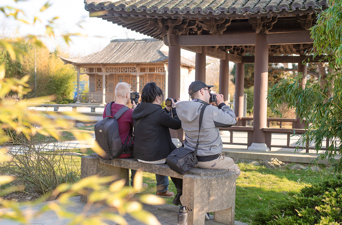 Fotografie Grundkurs Rostock - Fotografieren lernen im IGA Park Fotografie Grundkurs Rostock - Fotografieren lernen im IGA Park