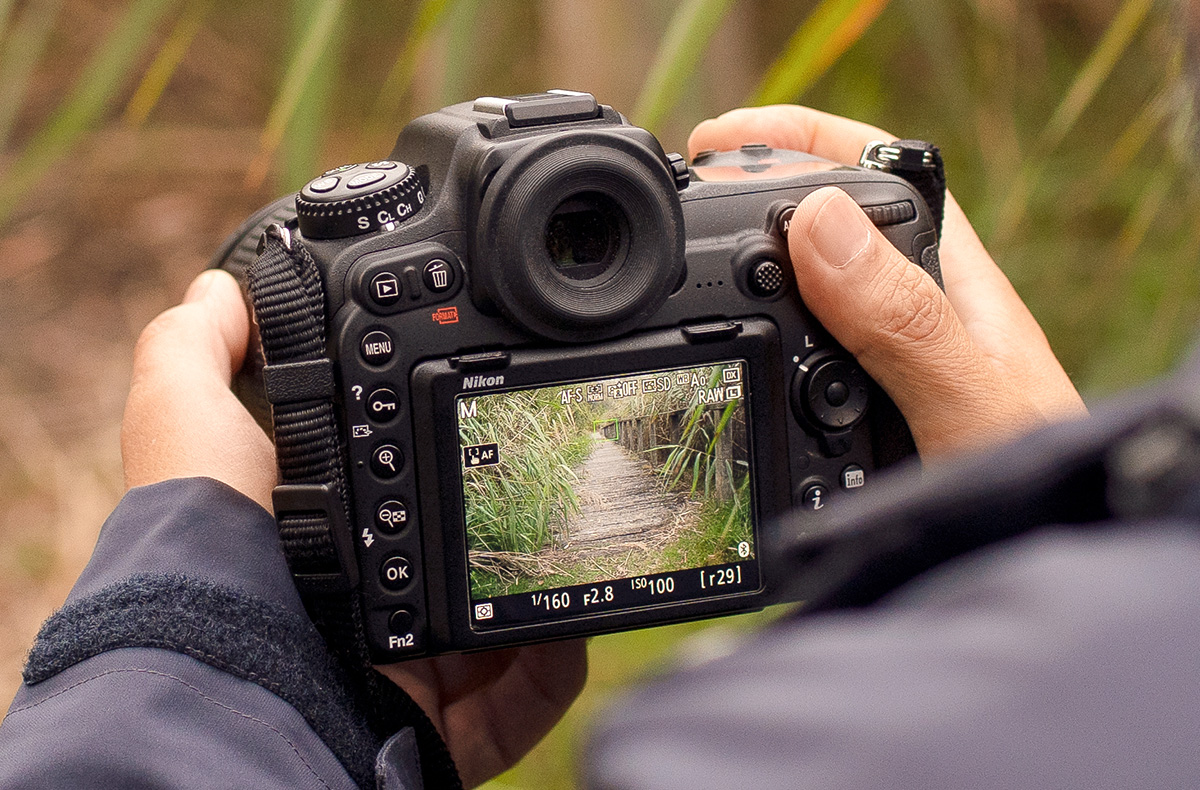 Fotografie Grundkurs Rostock - Fotografieren lernen im IGA Park Fotografie Grundkurs Rostock - Fotografieren lernen im IGA Park