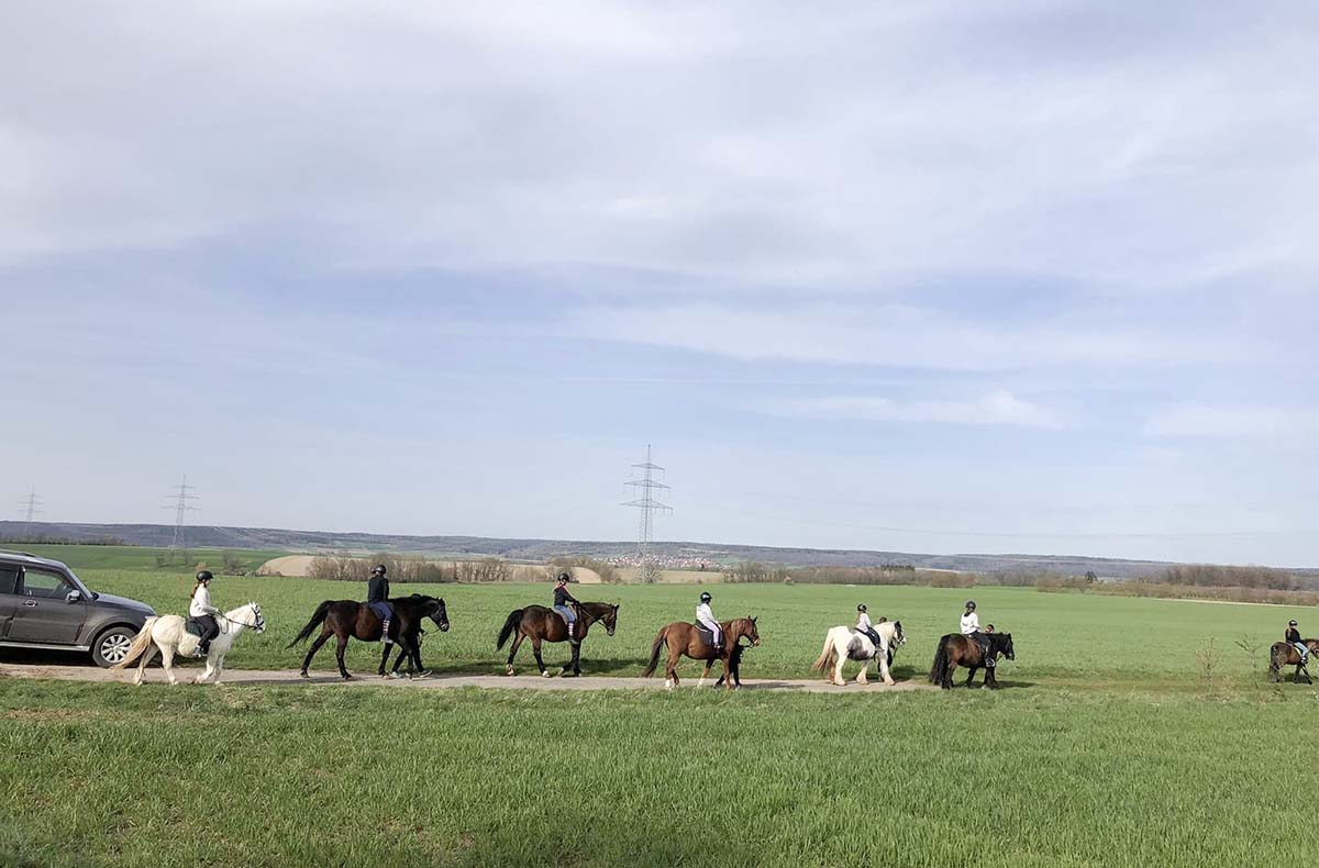 Geführter Ausritt Langenfeld - Abenteue...