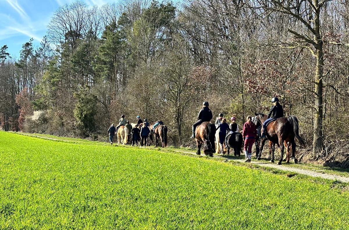 Geführter Ausritt Langenfeld - Abenteue...