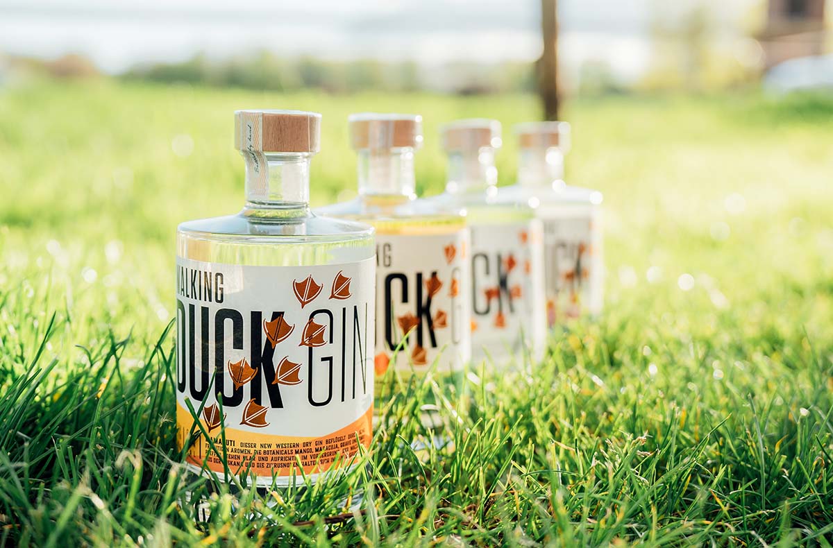 Gin Brennkurs mit 5-Gänge-Menü Bad Kreuznach Guldental