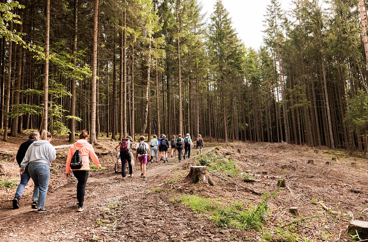 Historische Erlebnis-Wanderung Bad König - Jetzt erleben!