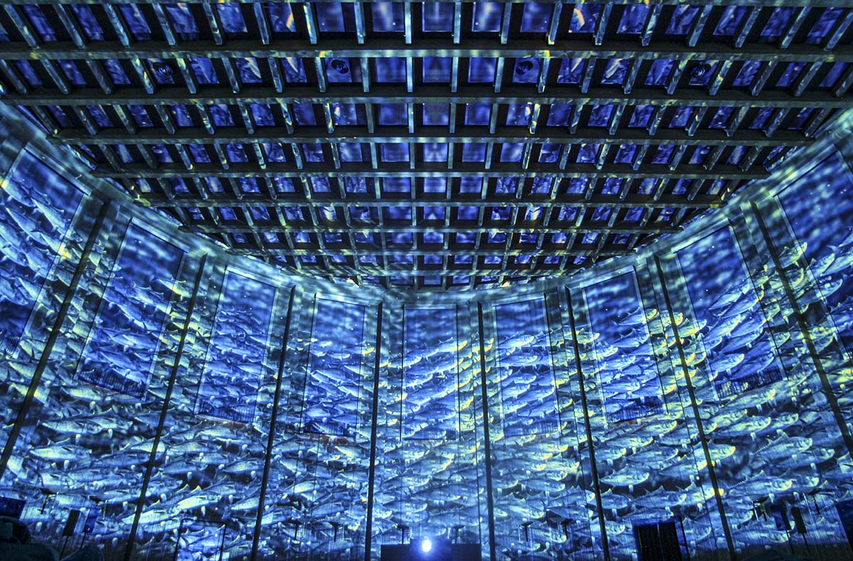 Immersive Show Heidelberg (Pixel Zoo) – Abtauchen ins digitale Ozeanwunder