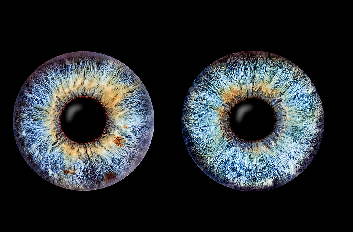 Iris Fotografie für 2 Haßfurt Iris Fotografie für 2 Haßfurt