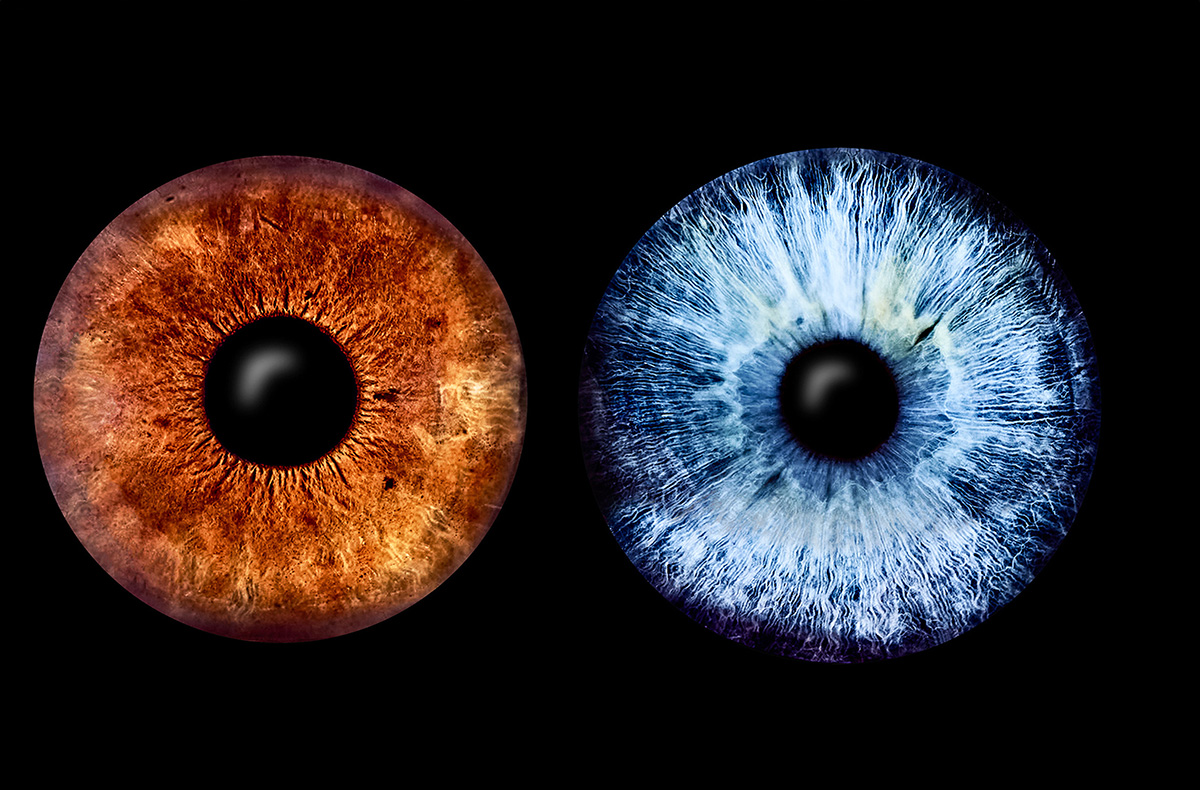 Iris Fotografie für 2 Haßfurt - Eure A...