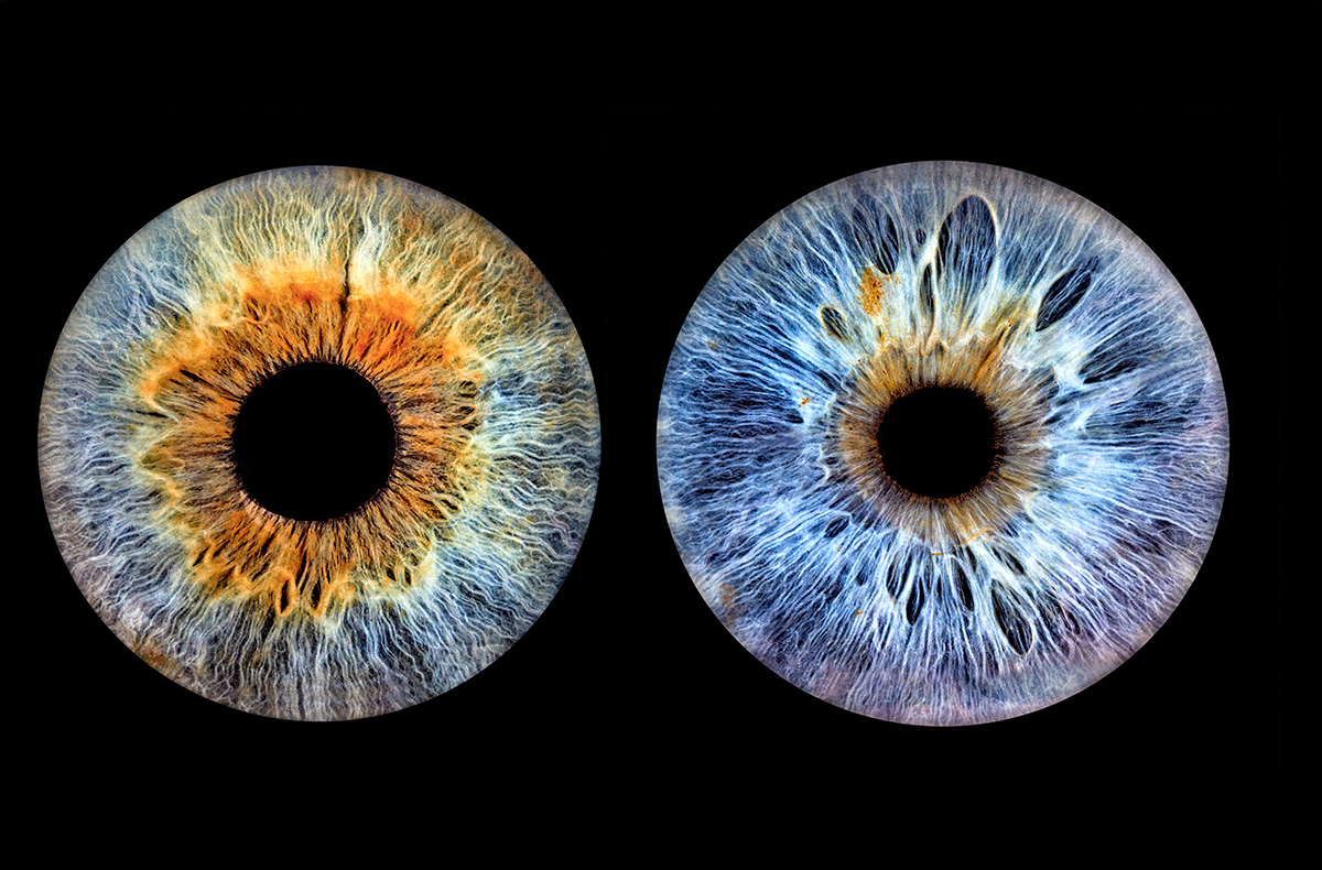 Iris Fotografie für 2 Haßfurt - Eure A...