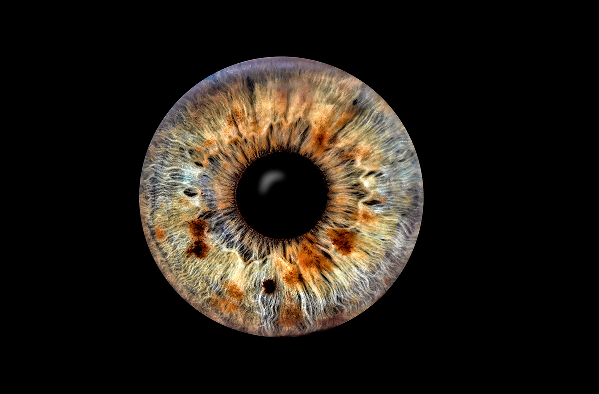 Iris Fotografie Haßfurt