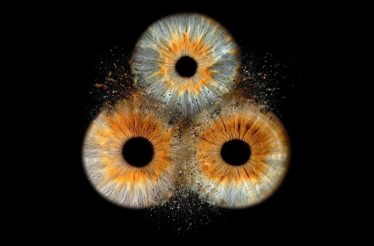 Iris Fotoshooting Luzern - in Wird gestellt: Aufnahmeequipment, Gesichtshalterung, Linsengefäss für Kontaktlinsen Iris Fotoshooting Luzern - in Wird gestellt: Aufnahmeequipment, Gesichtshalterung, Linsengefäss für Kontaktlinsen