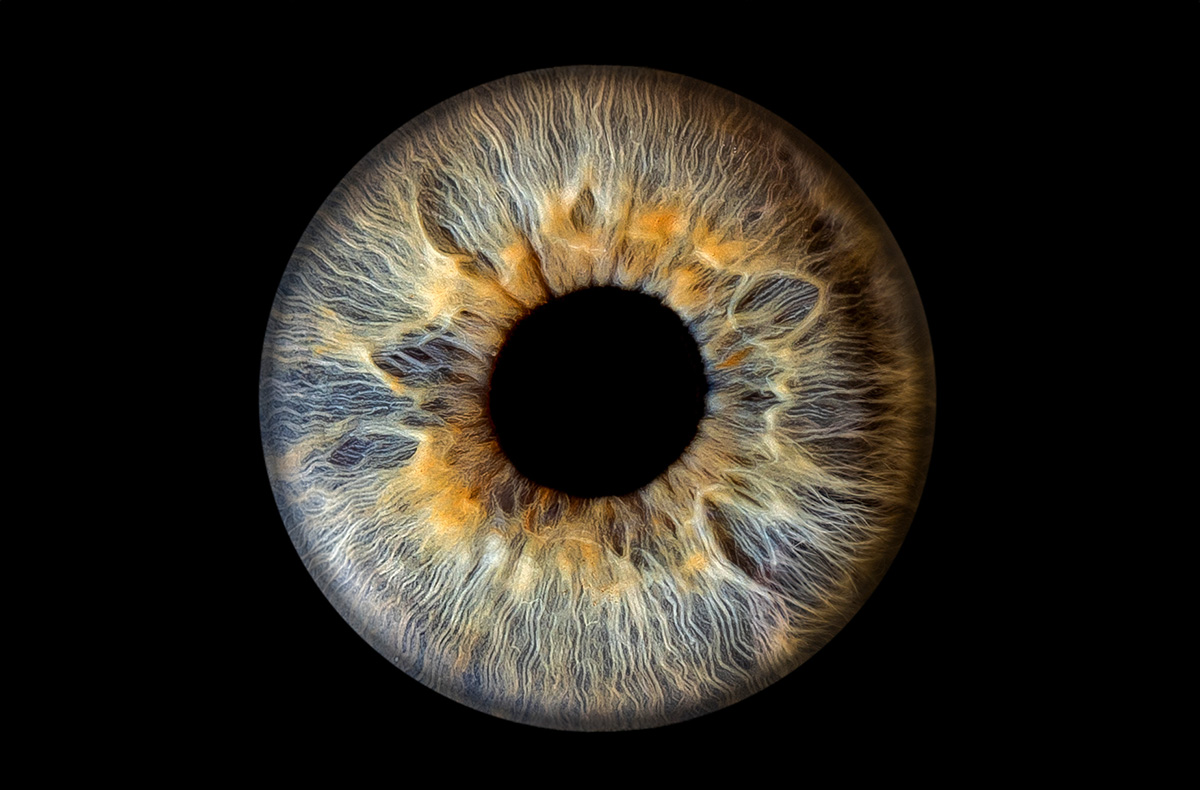 Iris Fotoshooting Sindelfingen
