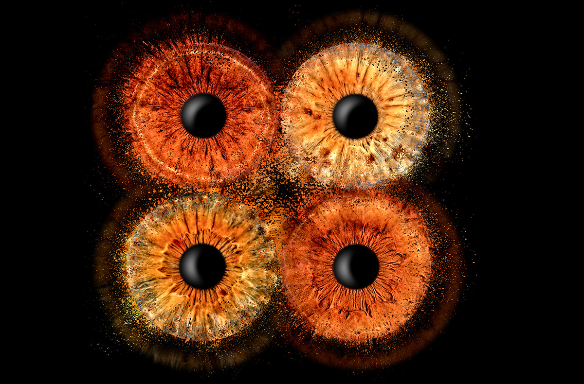 Irisfotografie Familie Haßfurt - Dein Auge als Kunstwerk – Iris neu erleben