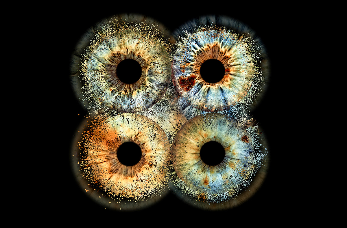Irisfotografie Familie Haßfurt – Dein Auge als Kunstwerk – Iris neu erleben