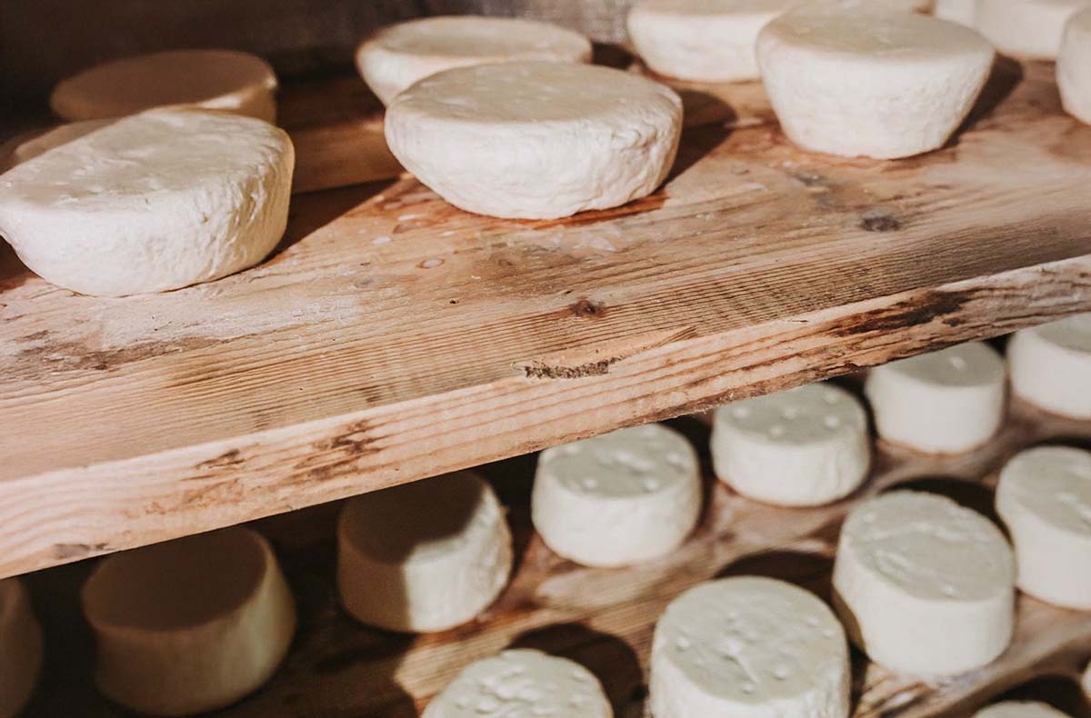 Käse selber machen Oberharmersbach