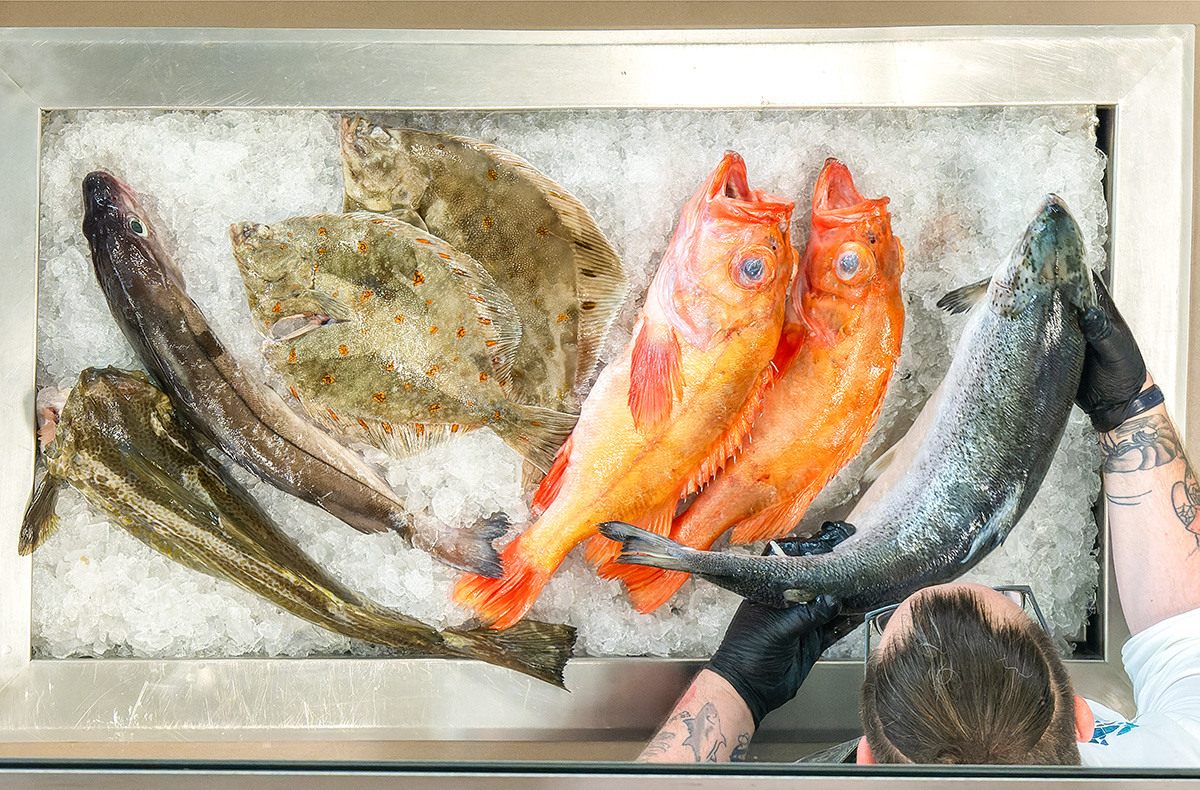 Kochshow Bremerhaven mit Fischbuffet Bremerhaven