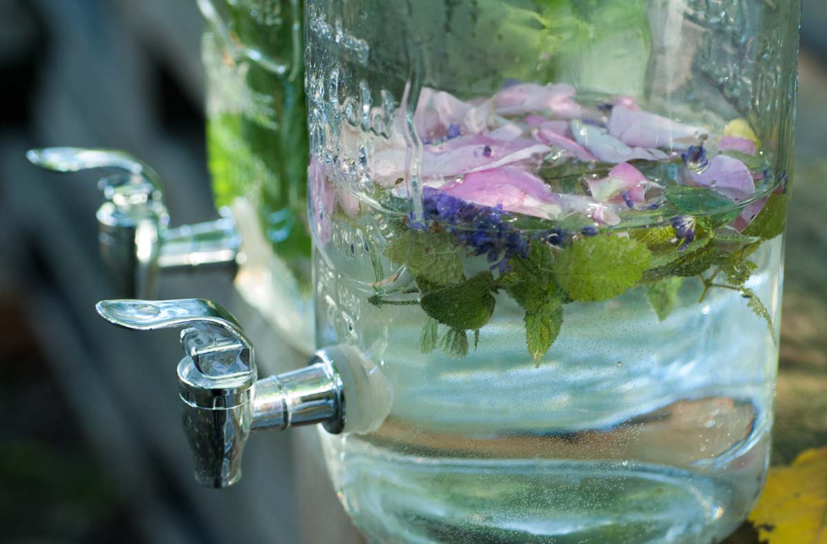 Kräuterkurs Walchow - Wildkräuter entd... Kräuterkurs Walchow - Wildkräuter entd...