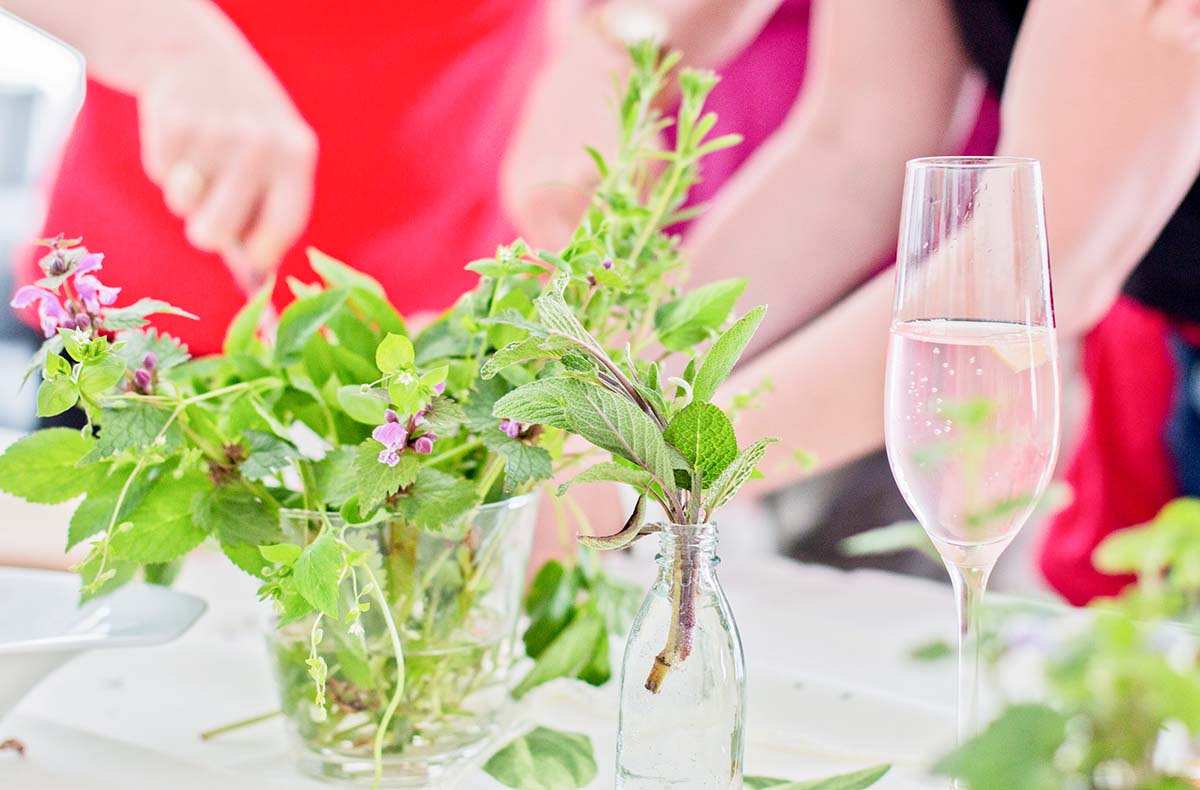 Kräuterseminar mit Dinner Bad Berneck im Fichtelgebirge