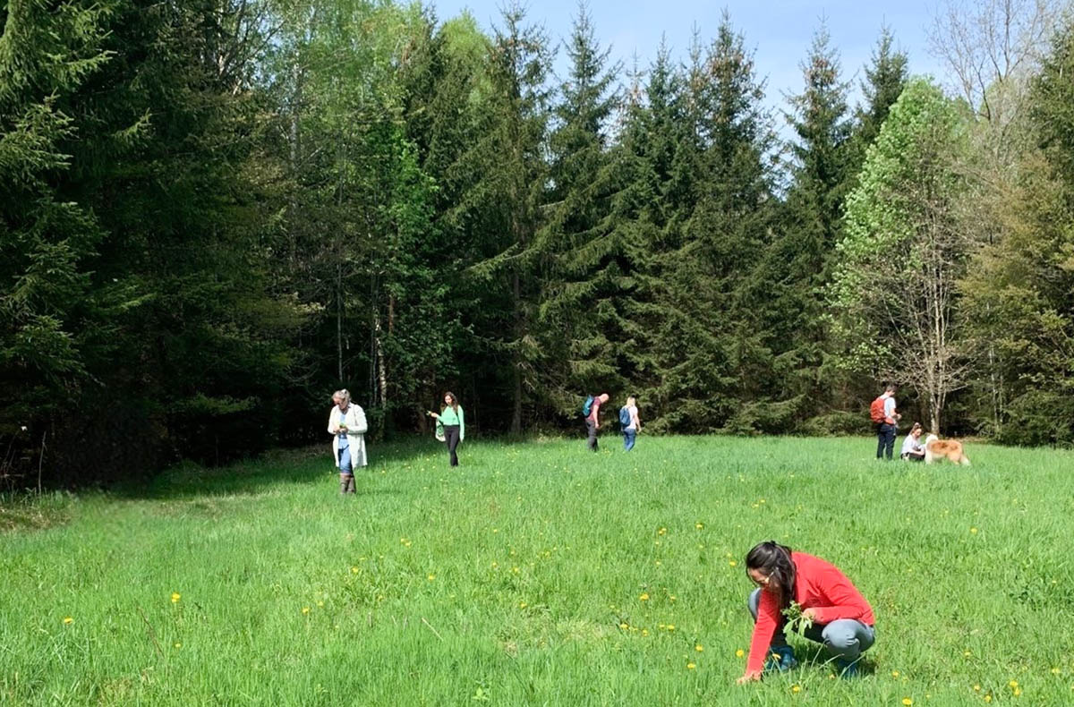 Kräuterwanderung - Vorschau I