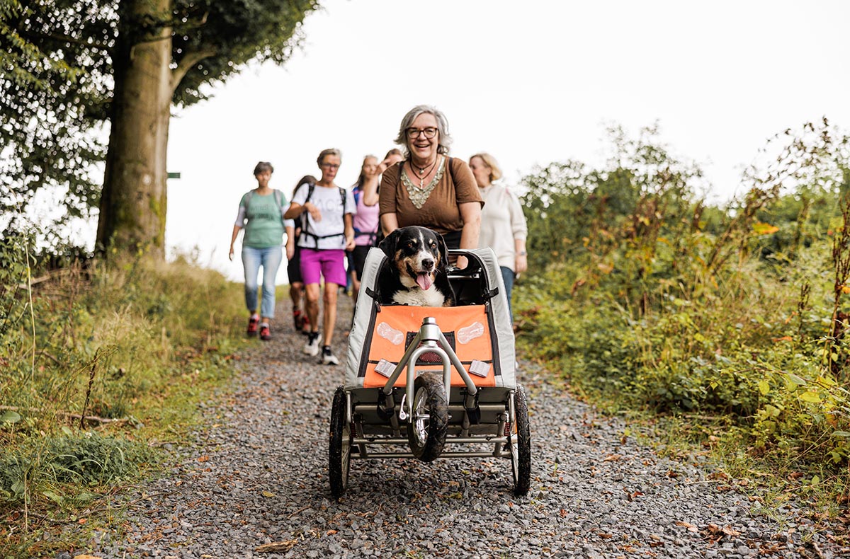 Kulinarische Städtewanderung Michelstadt - Jetzt erleben! Kulinarische Städtewanderung Michelstadt - Jetzt erleben!