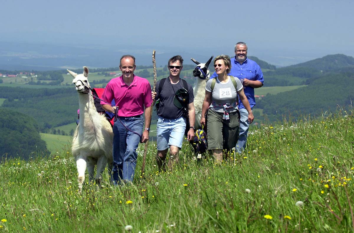 Lama-Trekkingtour Poppenhausen Lama-Trekkingtour Poppenhausen