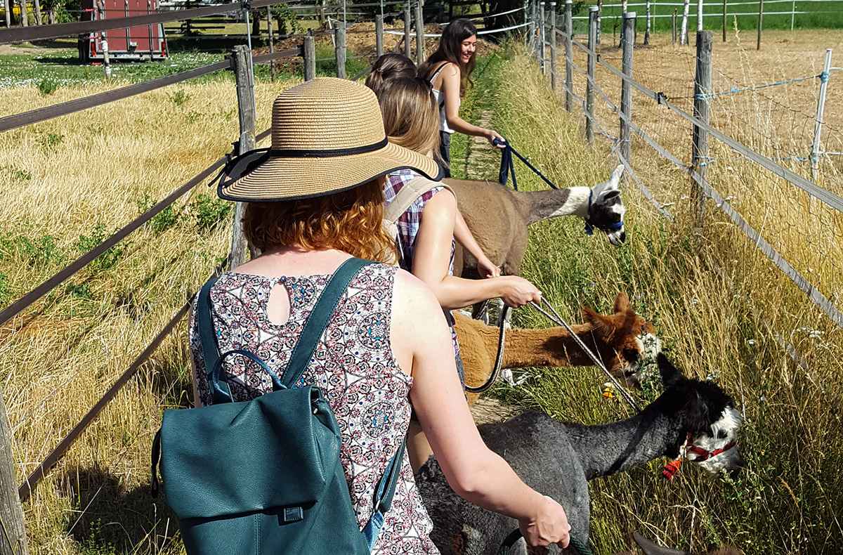 Lama- & Esel-Trekking-Tour Stadecken-Elsheim Lama- & Esel-Trekking-Tour Stadecken-Elsheim