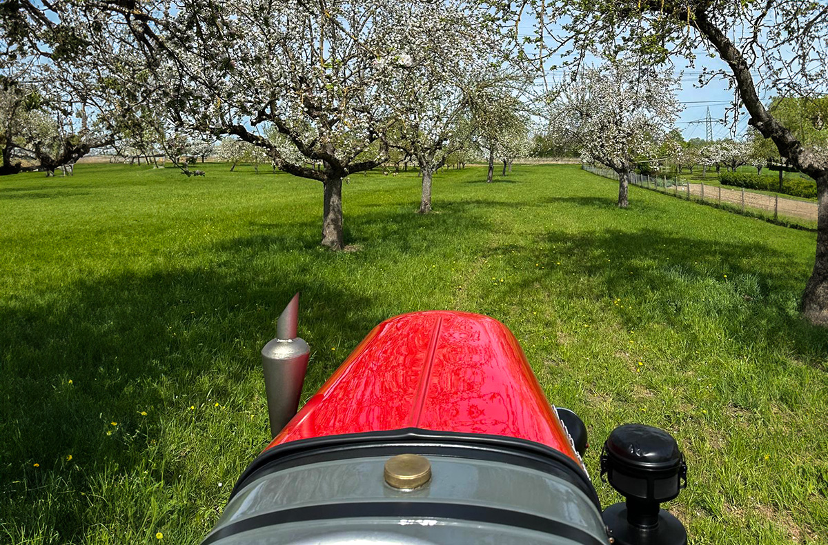 Lamborghini Traktor fahren Sindelfingen (Sonnenuntergang)
