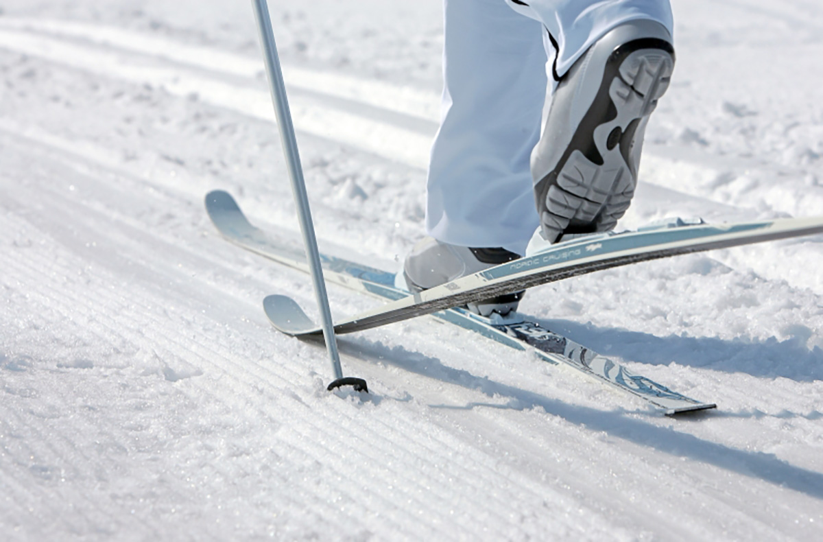 Langlauf-Kurs am Feldberg (2 Tage)