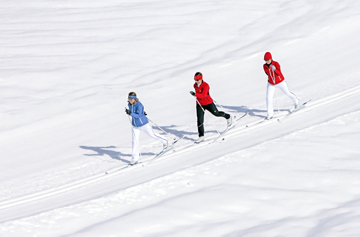 Langlauf-Kurs am Feldberg (2 Tage)