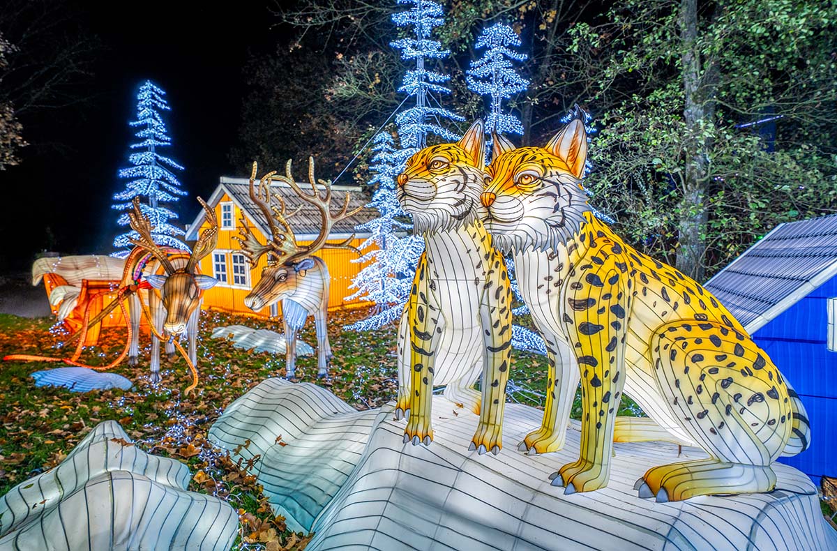 Lichterfestival mit Übernachten im Serengeti-Park für 2 (1 Nacht)