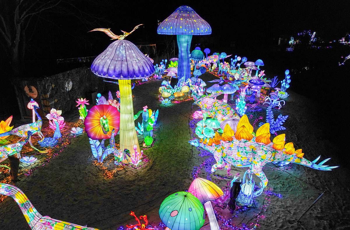 Lichterfestival mit Übernachten im Serengeti-Park für 2 (1 Nacht)